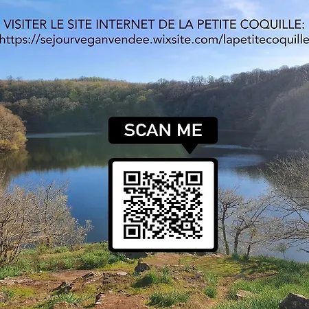 Semi Troglodyte En Foret Massage Et Diner Romantique Homestay *