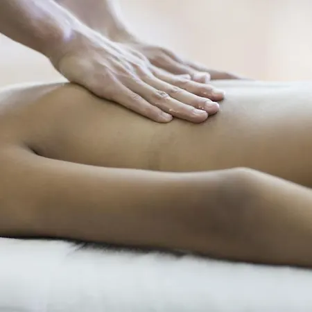 Semi Troglodyte En Foret Massage Et Diner Romantique Homestay *